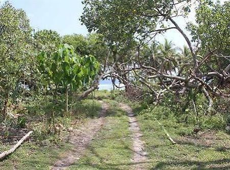 Alofa Beach Bungalows Lenakel  Luaran gambar