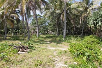 Alofa Beach Bungalows Lenakel  Luaran gambar